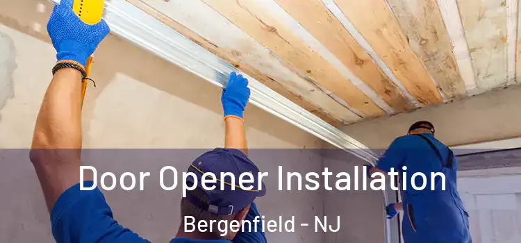  Door Opener Installation Bergenfield - NJ