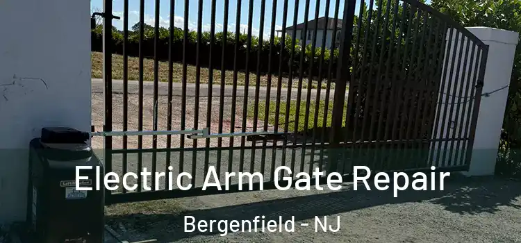 Electric Arm Gate Repair Bergenfield - NJ