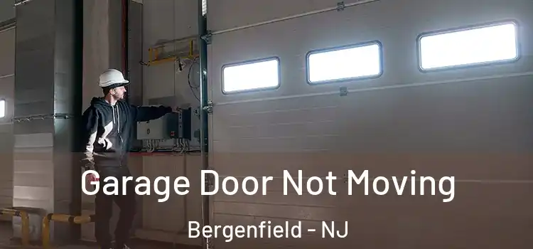  Garage Door Not Moving Bergenfield - NJ