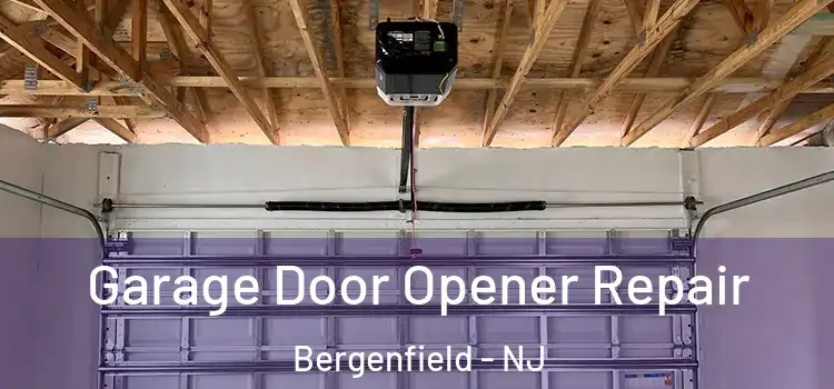  Garage Door Opener Repair Bergenfield - NJ
