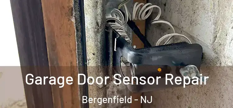Garage Door Sensor Repair Bergenfield - NJ