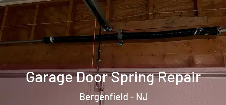  Garage Door Spring Repair Bergenfield - NJ