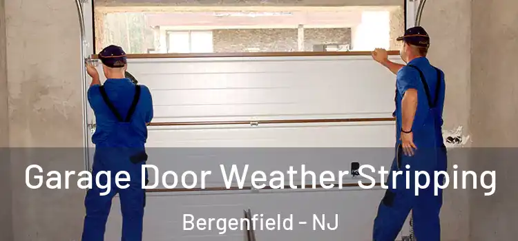  Garage Door Weather Stripping Bergenfield - NJ