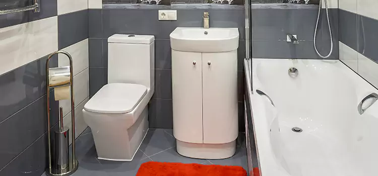 Hansgrohe Shaving Mirror Bergenfield
