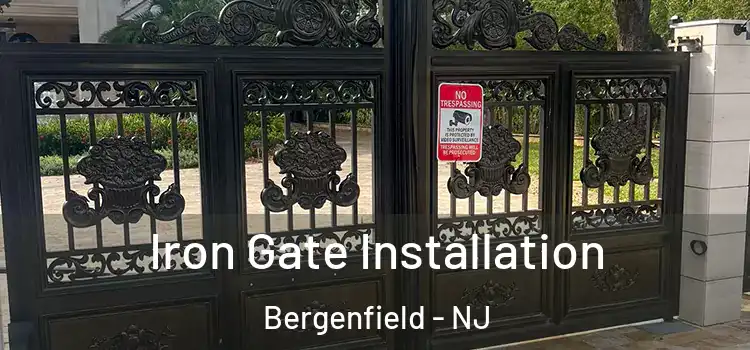 Iron Gate Installation Bergenfield - NJ