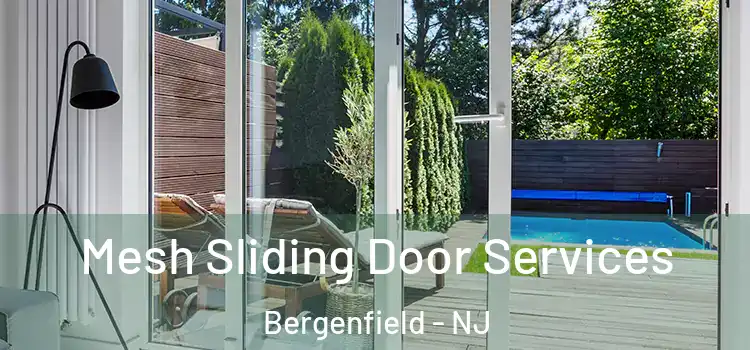 Mesh Sliding Door Services Bergenfield - NJ